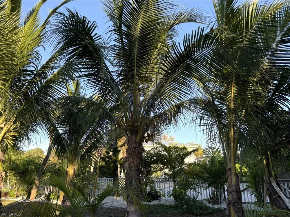 4511 Bartlett Parkway Captiva, FL 33924