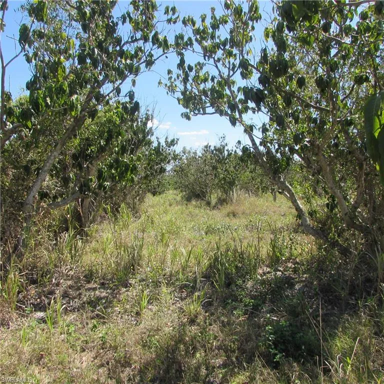 13171 Samadani Lane Bokeelia, FL 33922