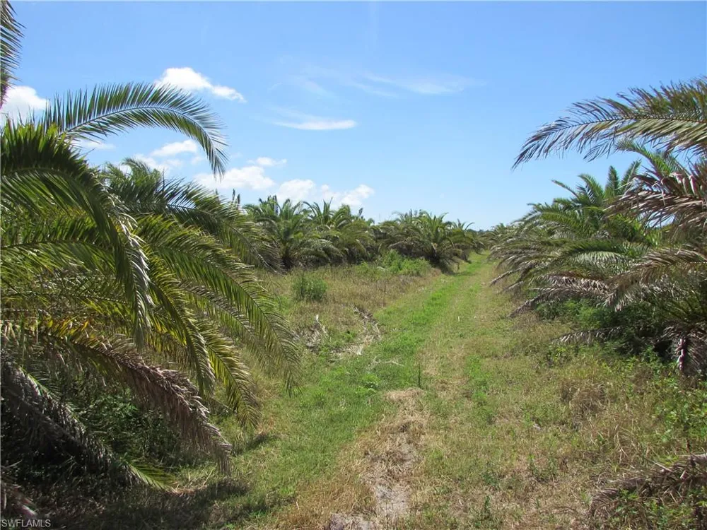 13350 Stringfellow Road Bokeelia, FL 33922