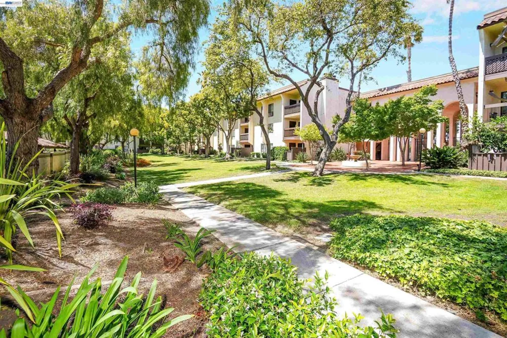39931 Cedar Blvd #104 Newark, CA 94560