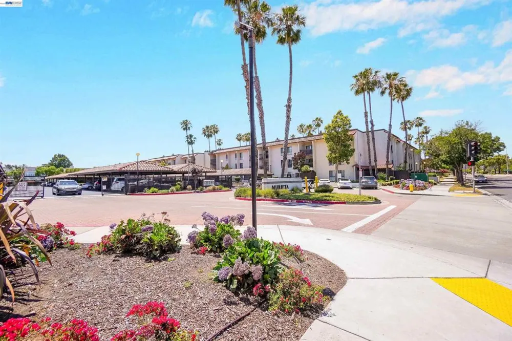39931 Cedar Blvd #104 Newark, CA 94560