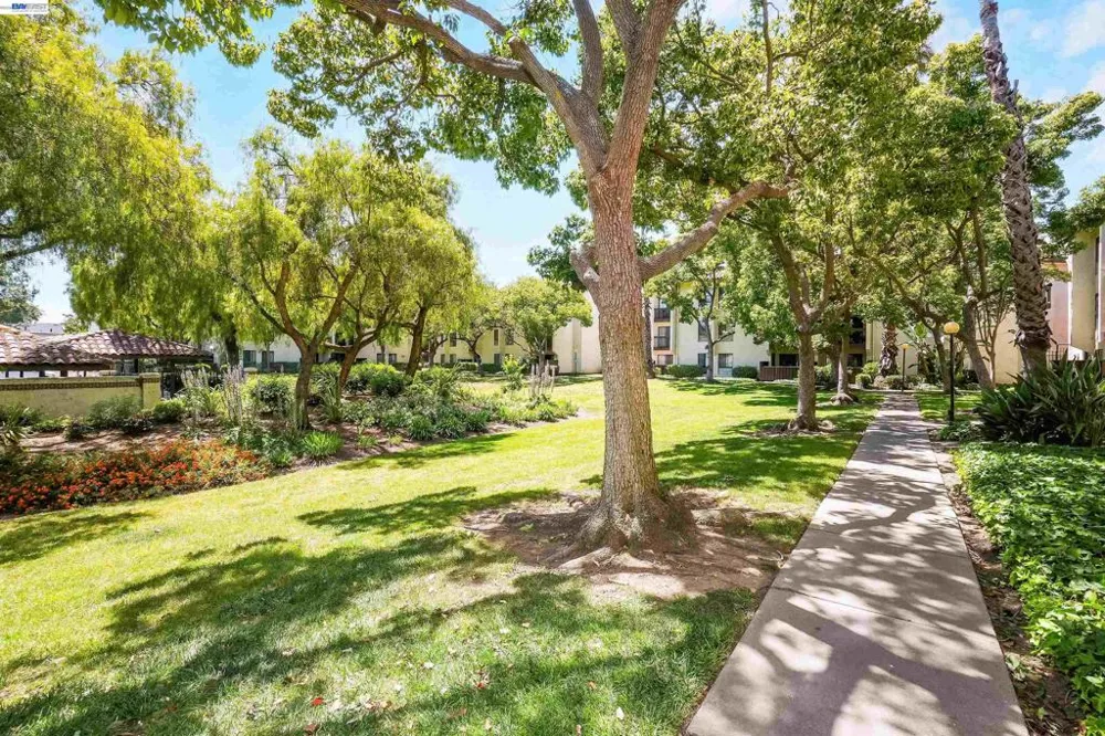 39931 Cedar Blvd #104 Newark, CA 94560