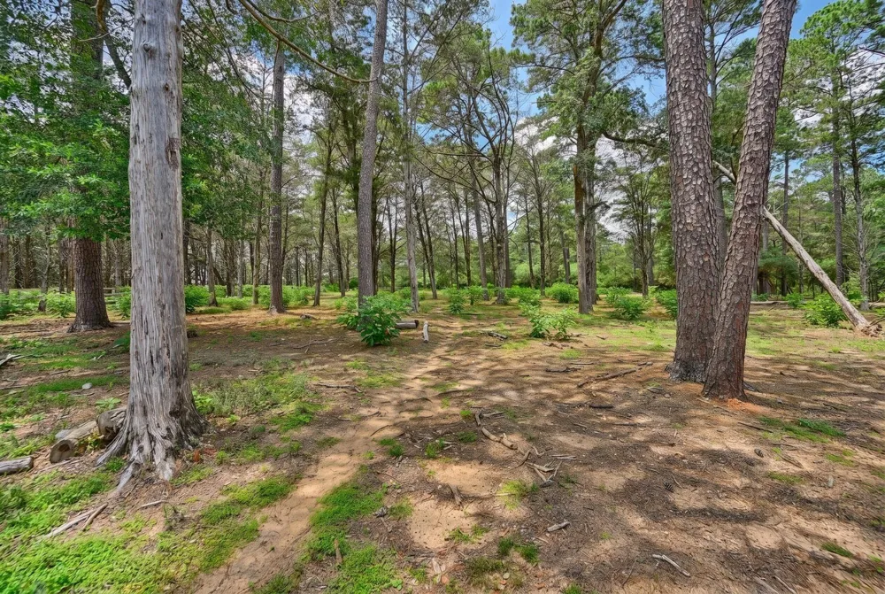 1182 Oak Crest Drive New Ulm, TX 78950