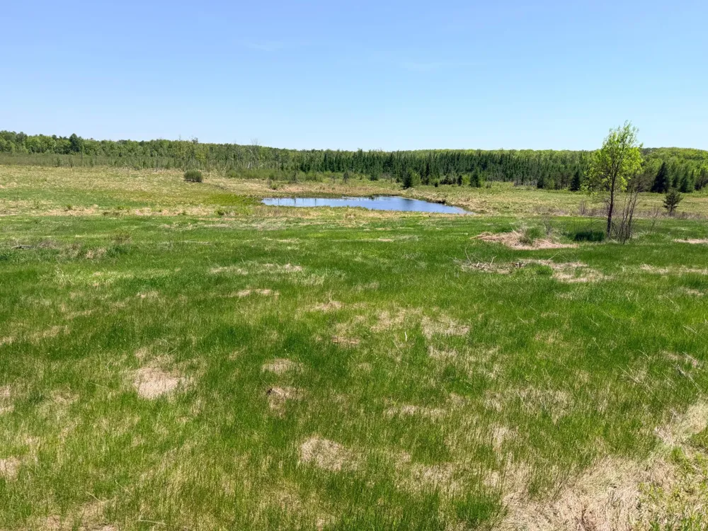 54003 Dollar Lake Road Sandstone, MN 55072