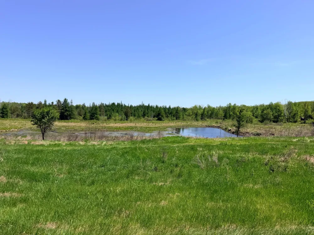54003 Dollar Lake Road Sandstone, MN 55072