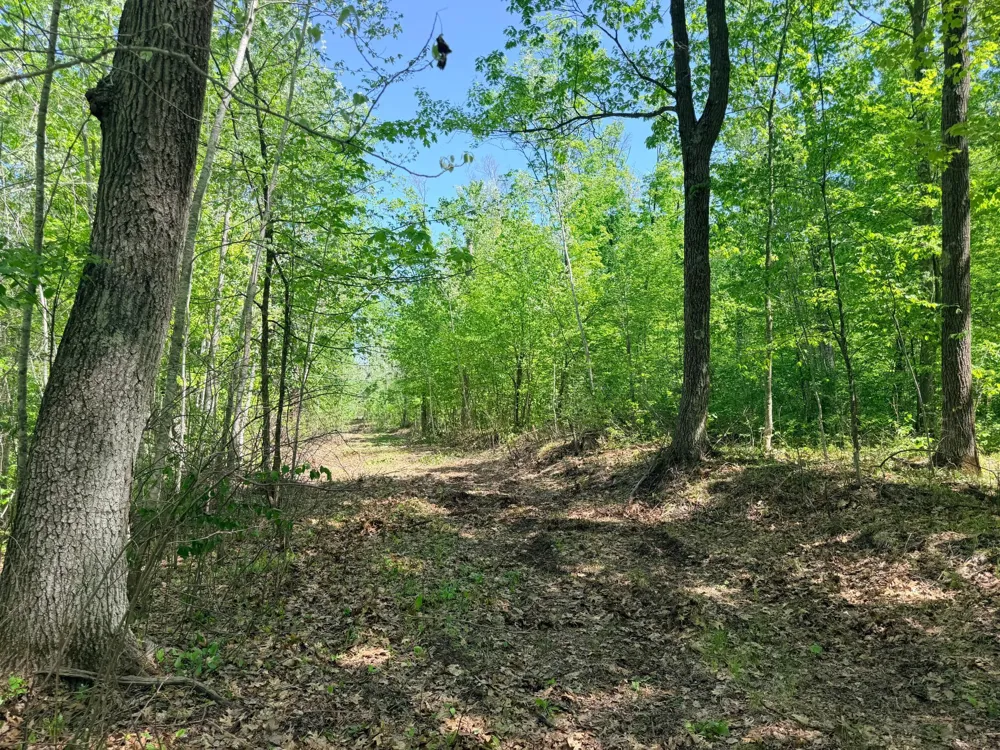 54003 Dollar Lake Road Sandstone, MN 55072