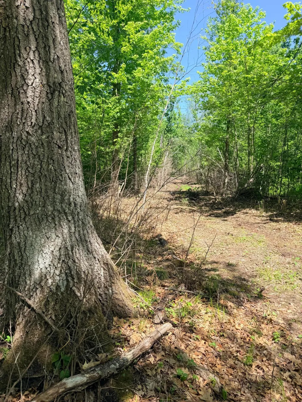 54003 Dollar Lake Road Sandstone, MN 55072