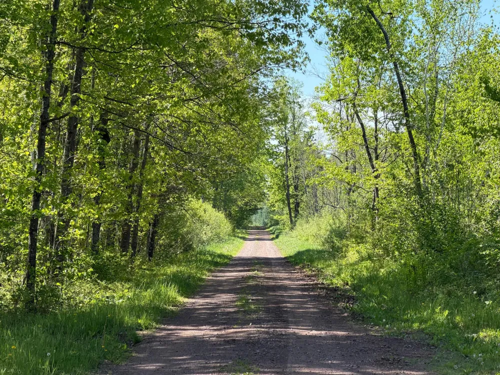 54003 Dollar Lake Road Sandstone, MN 55072