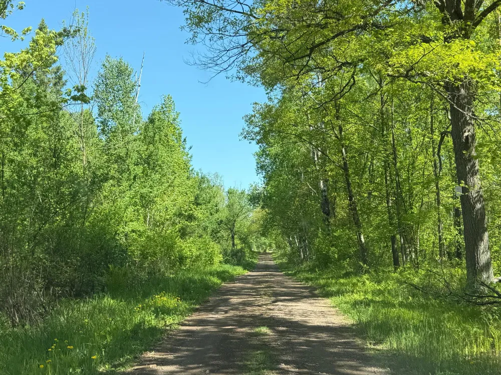 54003 Dollar Lake Road Sandstone, MN 55072