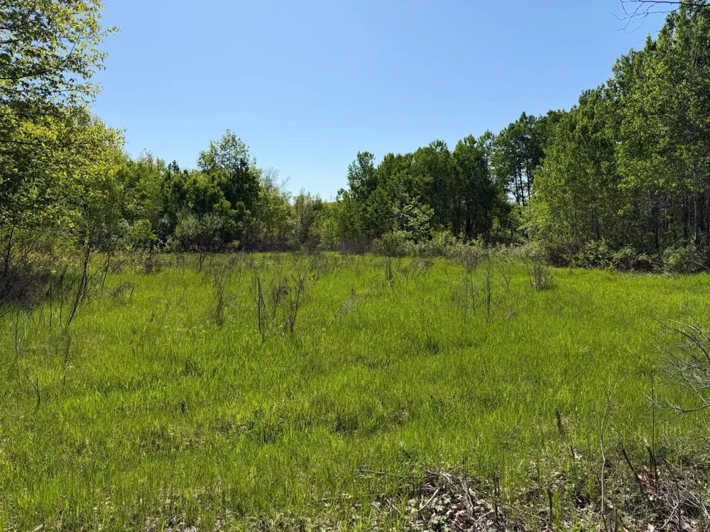 54003 Dollar Lake Road Sandstone, MN 55072