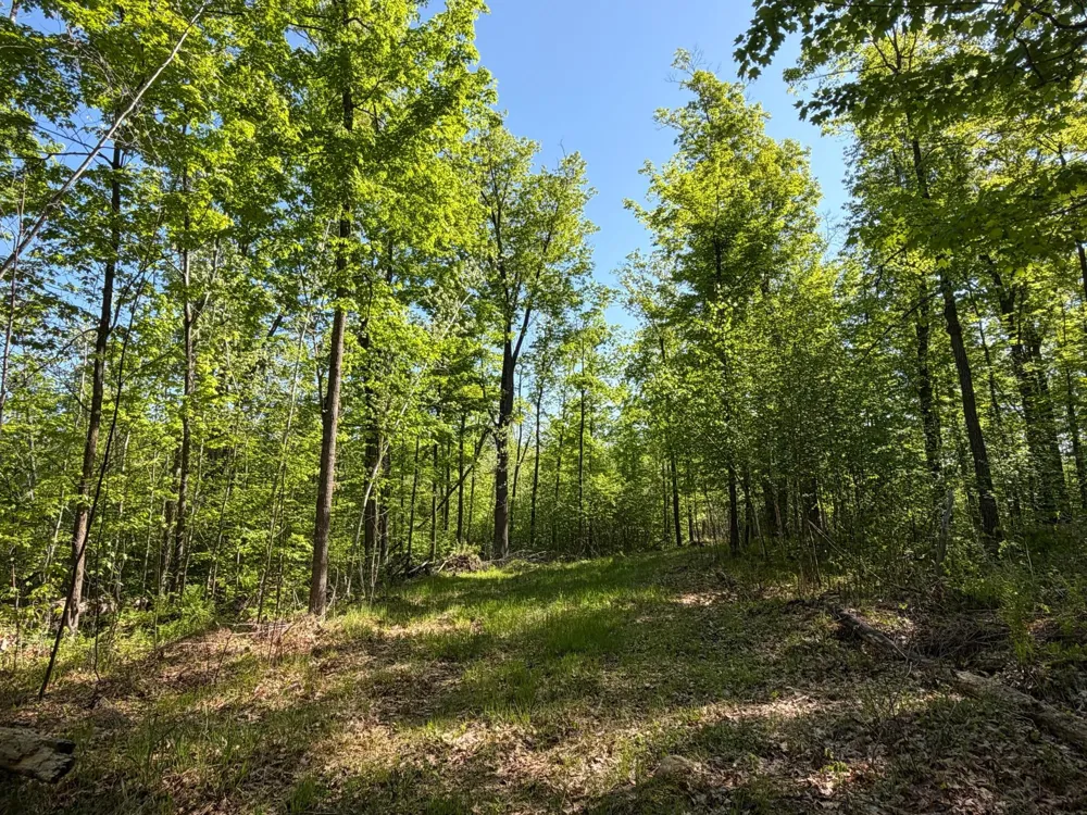 54003 Dollar Lake Road Sandstone, MN 55072