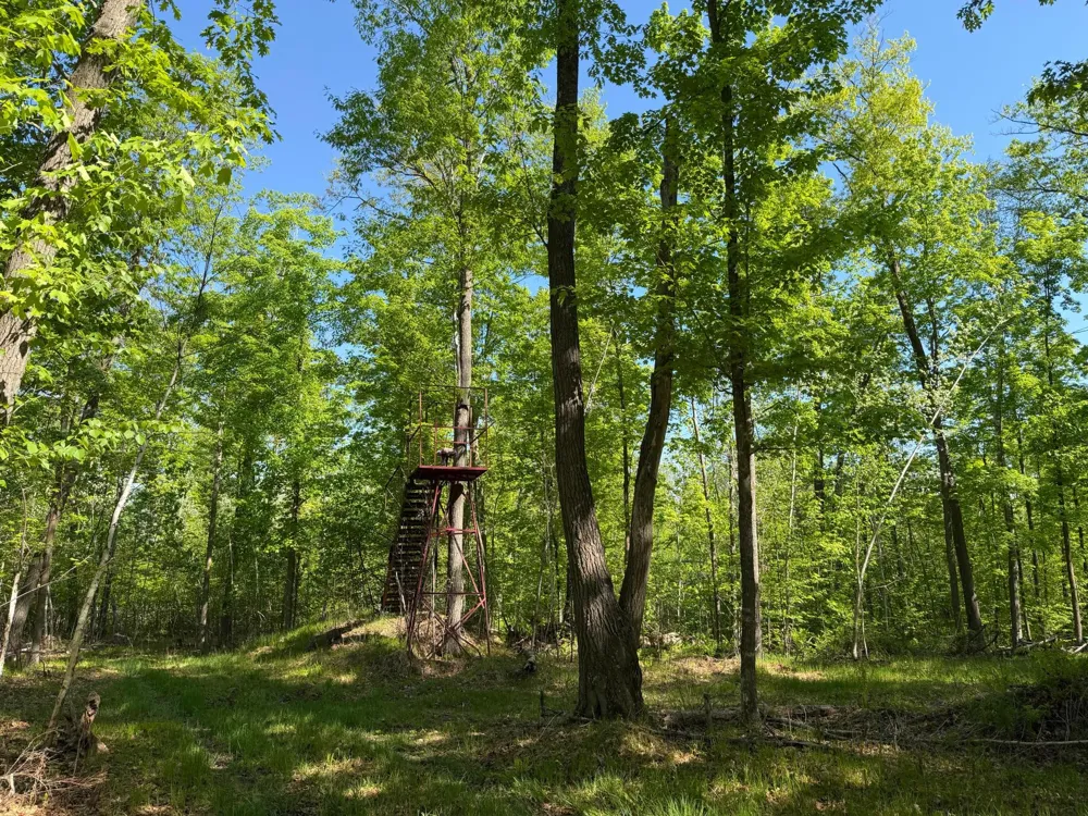 54003 Dollar Lake Road Sandstone, MN 55072