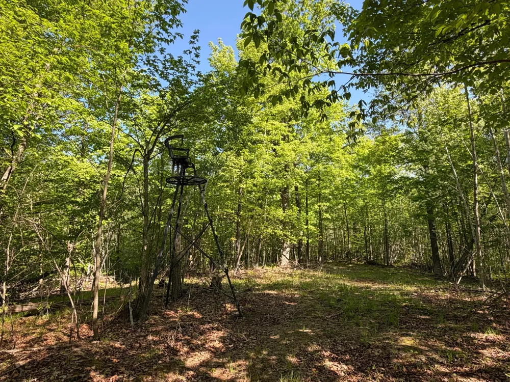 54003 Dollar Lake Road Sandstone, MN 55072