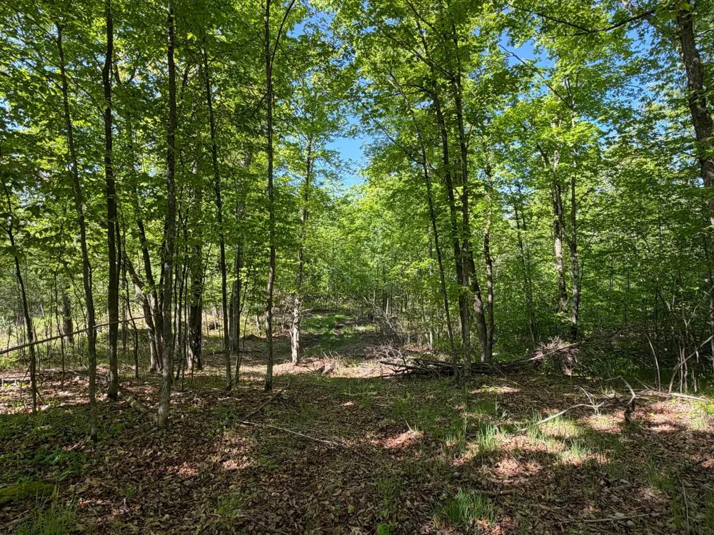54003 Dollar Lake Road Sandstone, MN 55072