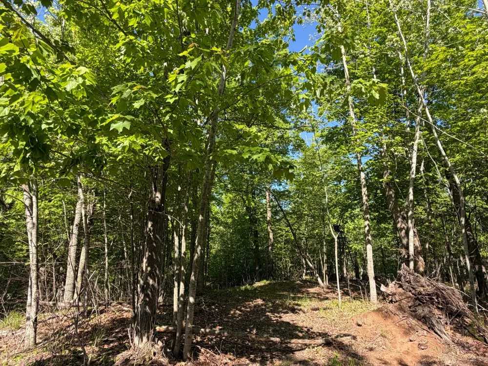 54003 Dollar Lake Road Sandstone, MN 55072