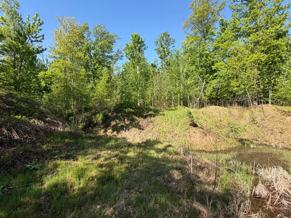 54003 Dollar Lake Road Sandstone, MN 55072