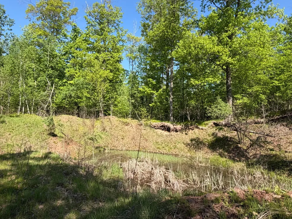 54003 Dollar Lake Road Sandstone, MN 55072