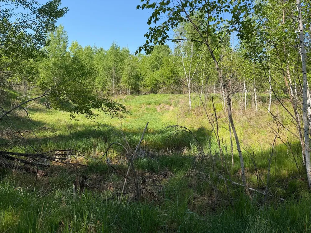 54003 Dollar Lake Road Sandstone, MN 55072