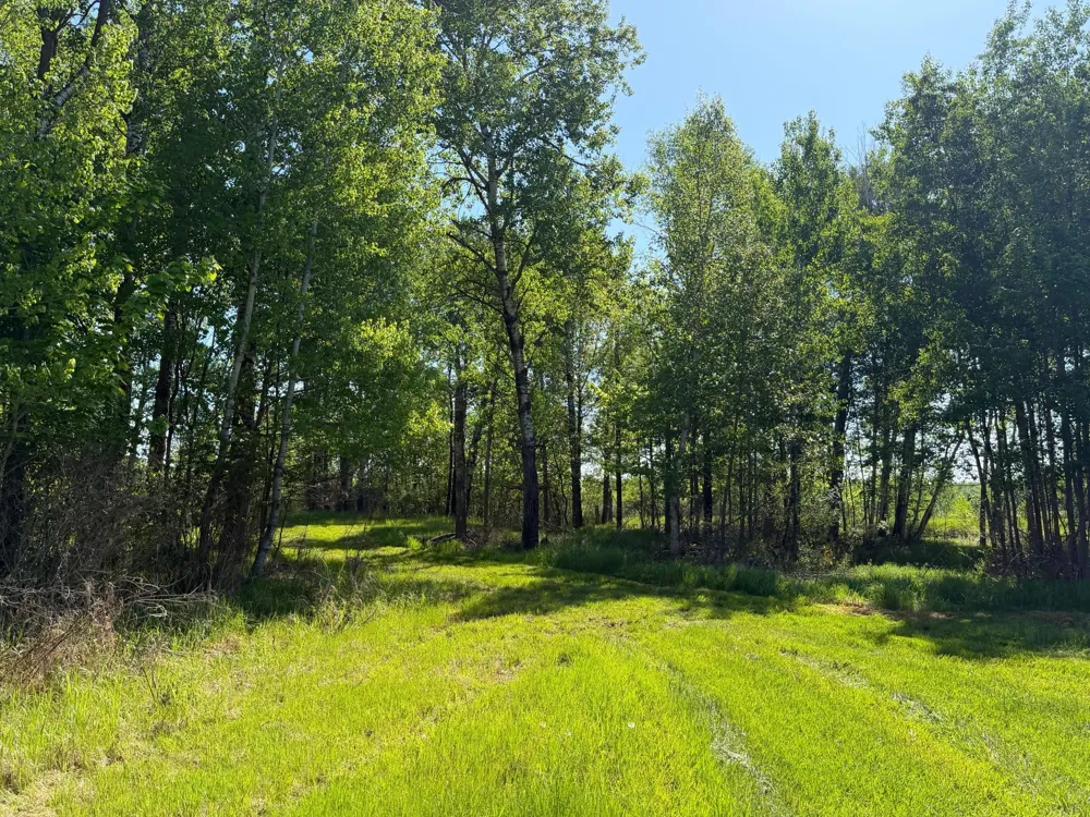 54003 Dollar Lake Road Sandstone, MN 55072
