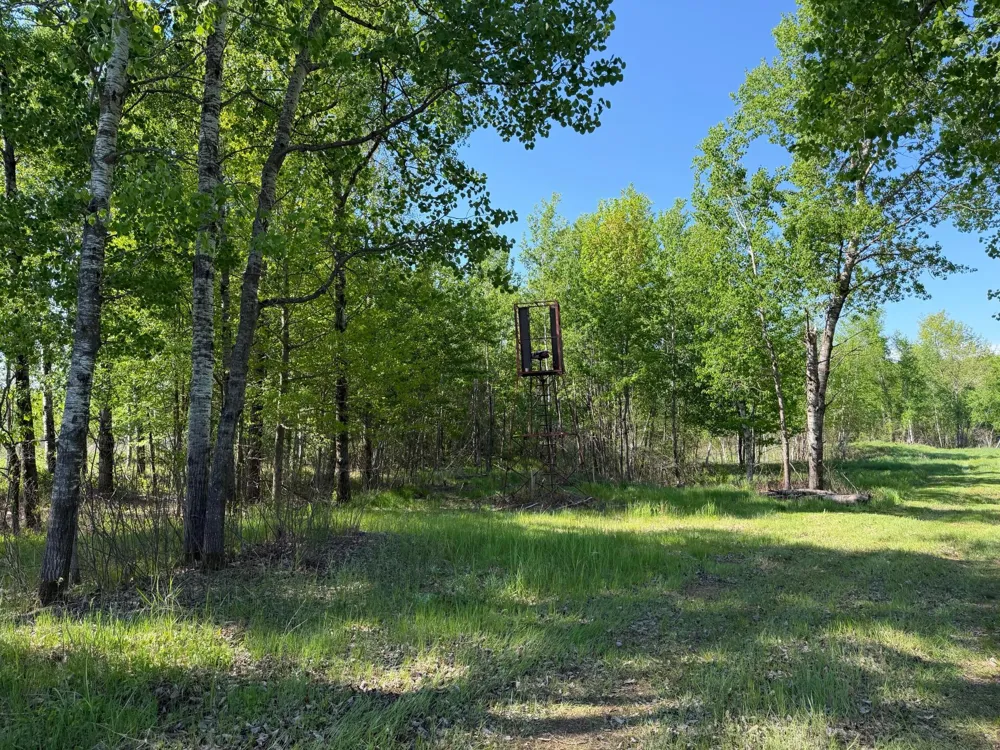 54003 Dollar Lake Road Sandstone, MN 55072