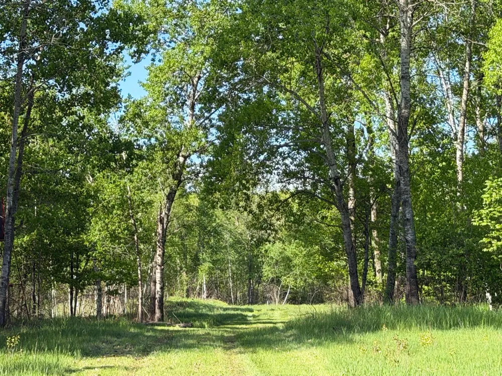 54003 Dollar Lake Road Sandstone, MN 55072