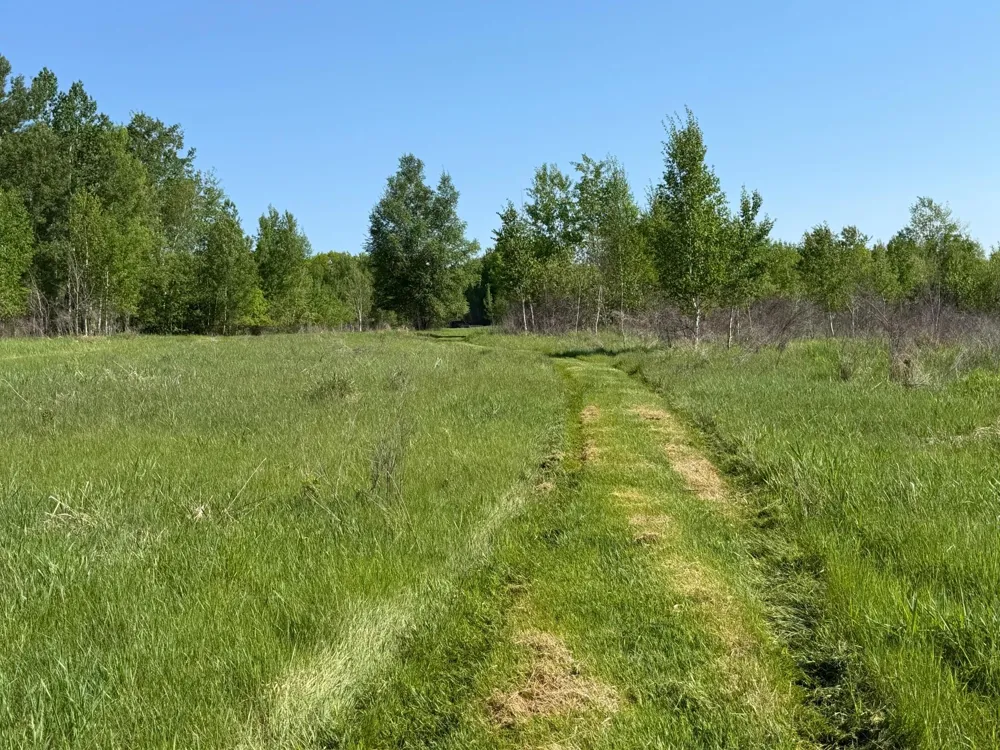54003 Dollar Lake Road Sandstone, MN 55072