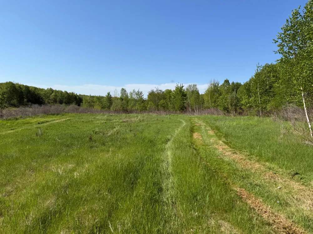 54003 Dollar Lake Road Sandstone, MN 55072