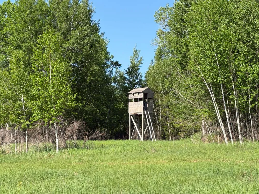 54003 Dollar Lake Road Sandstone, MN 55072
