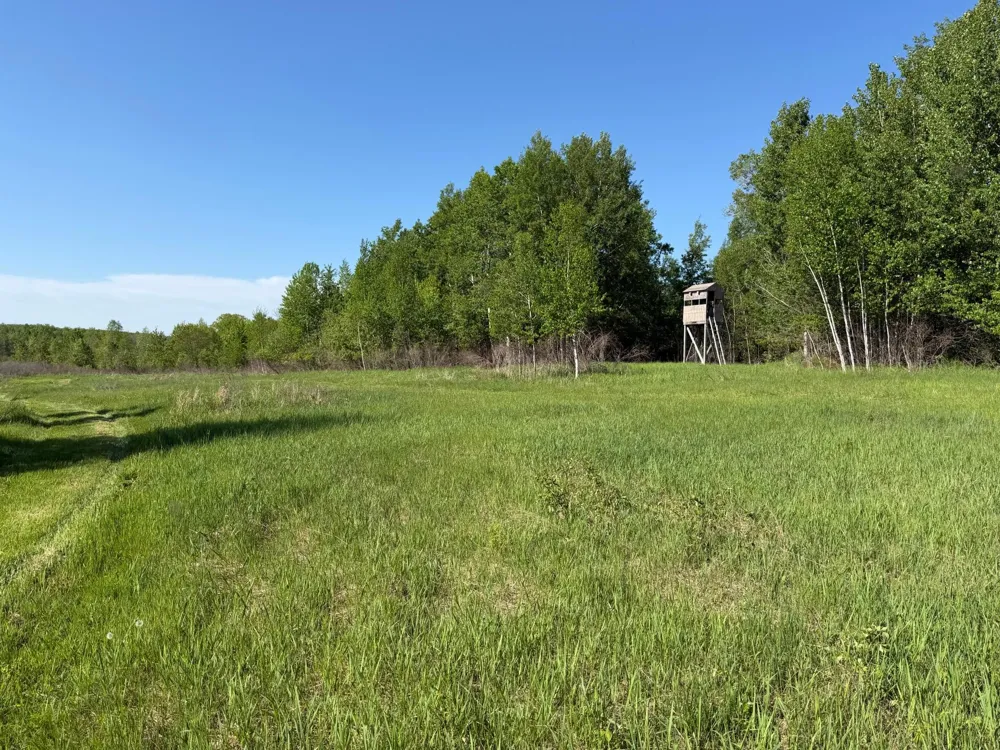 54003 Dollar Lake Road Sandstone, MN 55072