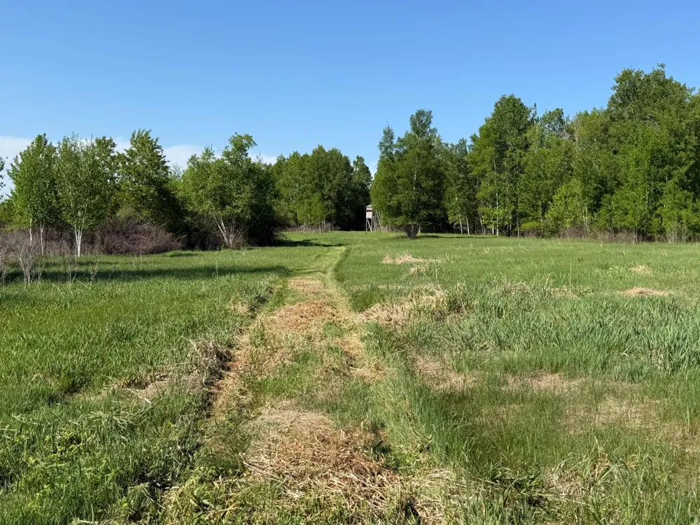 54003 Dollar Lake Road Sandstone, MN 55072