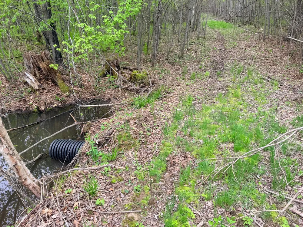 54003 Dollar Lake Road Sandstone, MN 55072