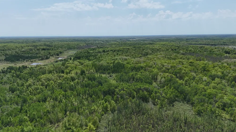54003 Dollar Lake Road Sandstone, MN 55072