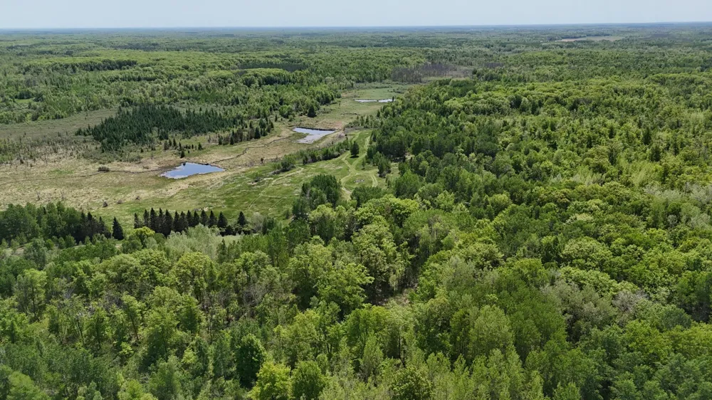 54003 Dollar Lake Road Sandstone, MN 55072