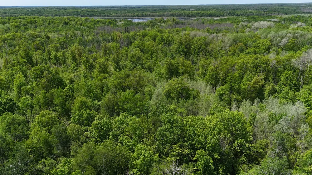 54003 Dollar Lake Road Sandstone, MN 55072