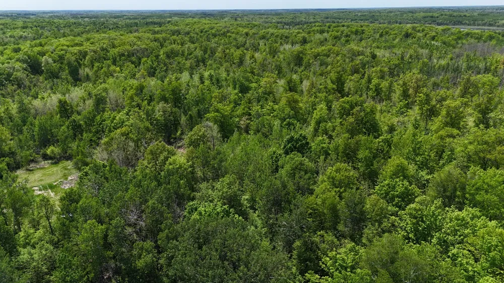54003 Dollar Lake Road Sandstone, MN 55072