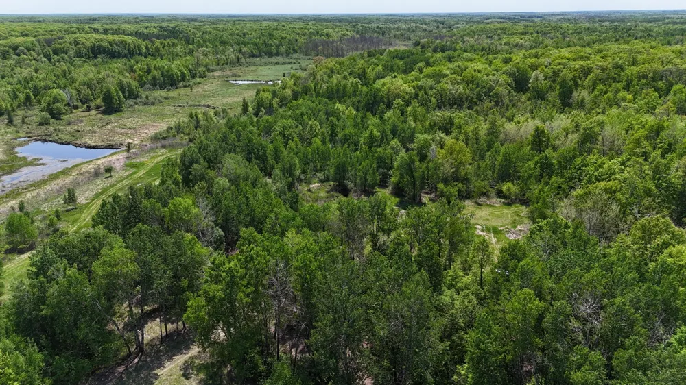 54003 Dollar Lake Road Sandstone, MN 55072