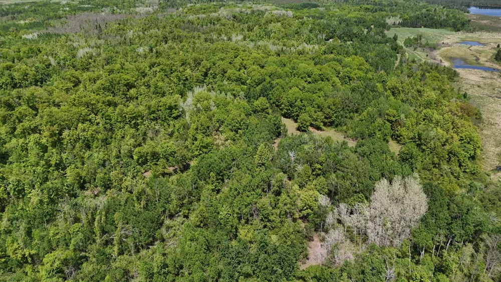 54003 Dollar Lake Road Sandstone, MN 55072