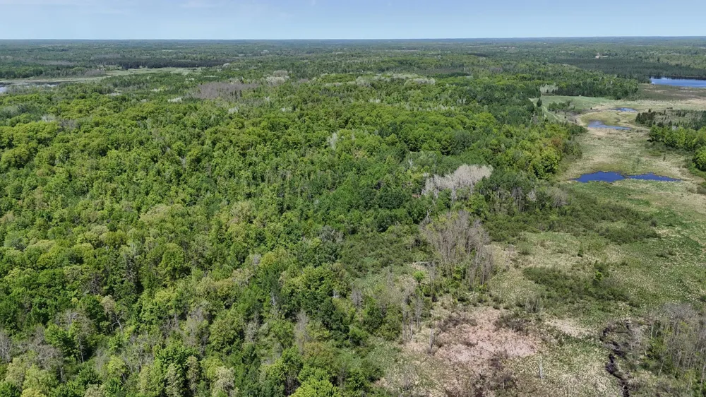 54003 Dollar Lake Road Sandstone, MN 55072