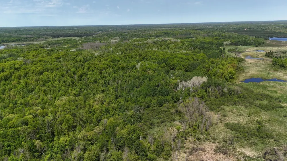 54003 Dollar Lake Road Sandstone, MN 55072