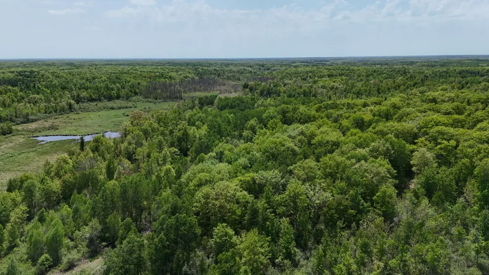 54003 Dollar Lake Road Sandstone, MN 55072