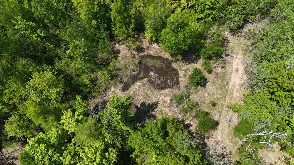 54003 Dollar Lake Road Sandstone, MN 55072