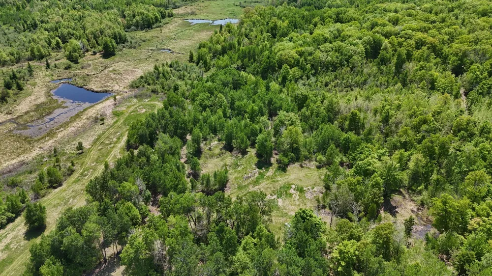 54003 Dollar Lake Road Sandstone, MN 55072