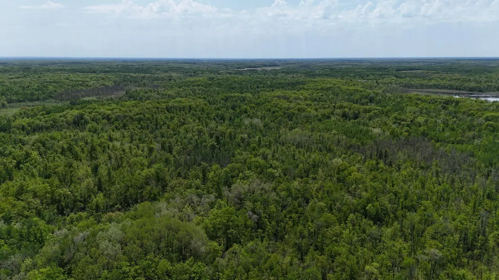 54003 Dollar Lake Road Sandstone, MN 55072