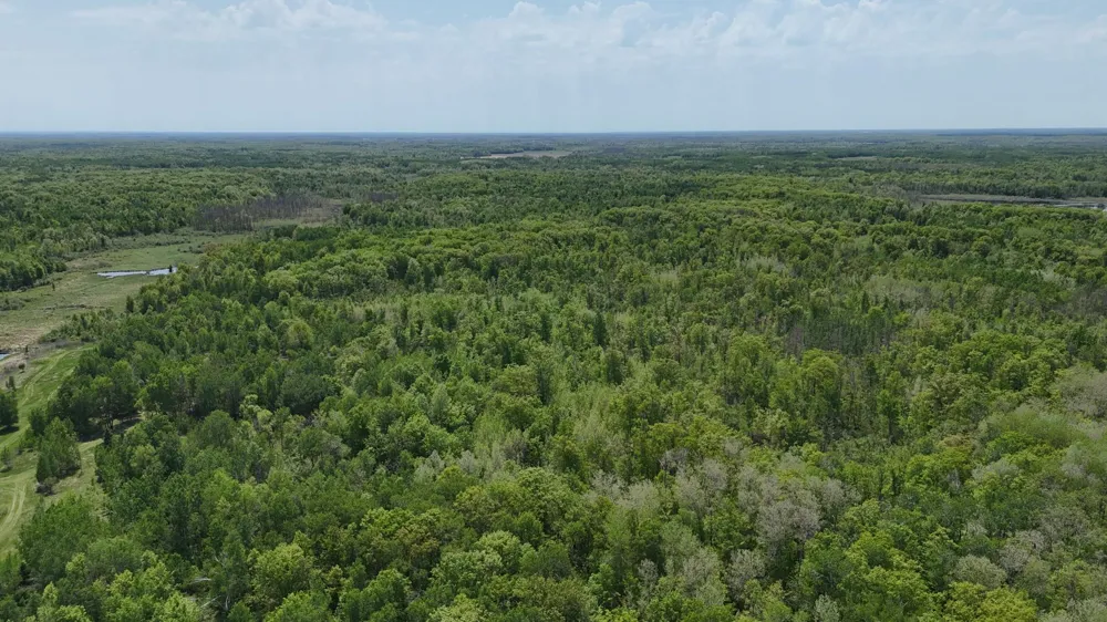 54003 Dollar Lake Road Sandstone, MN 55072