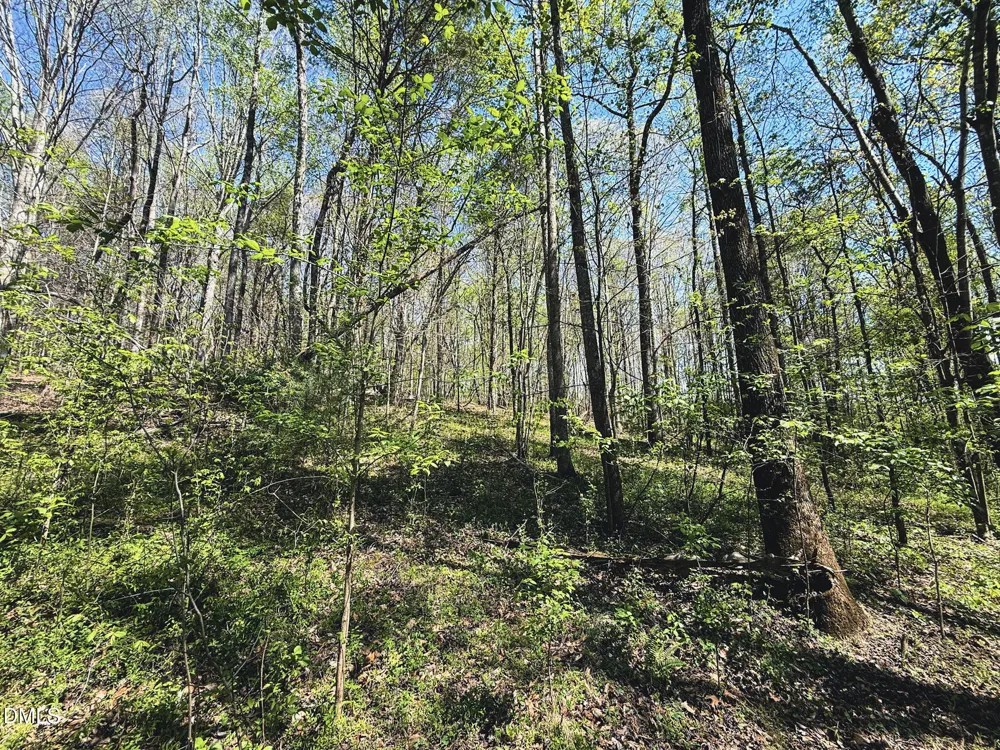 0 Mocksville Highway Statesville, NC 28625