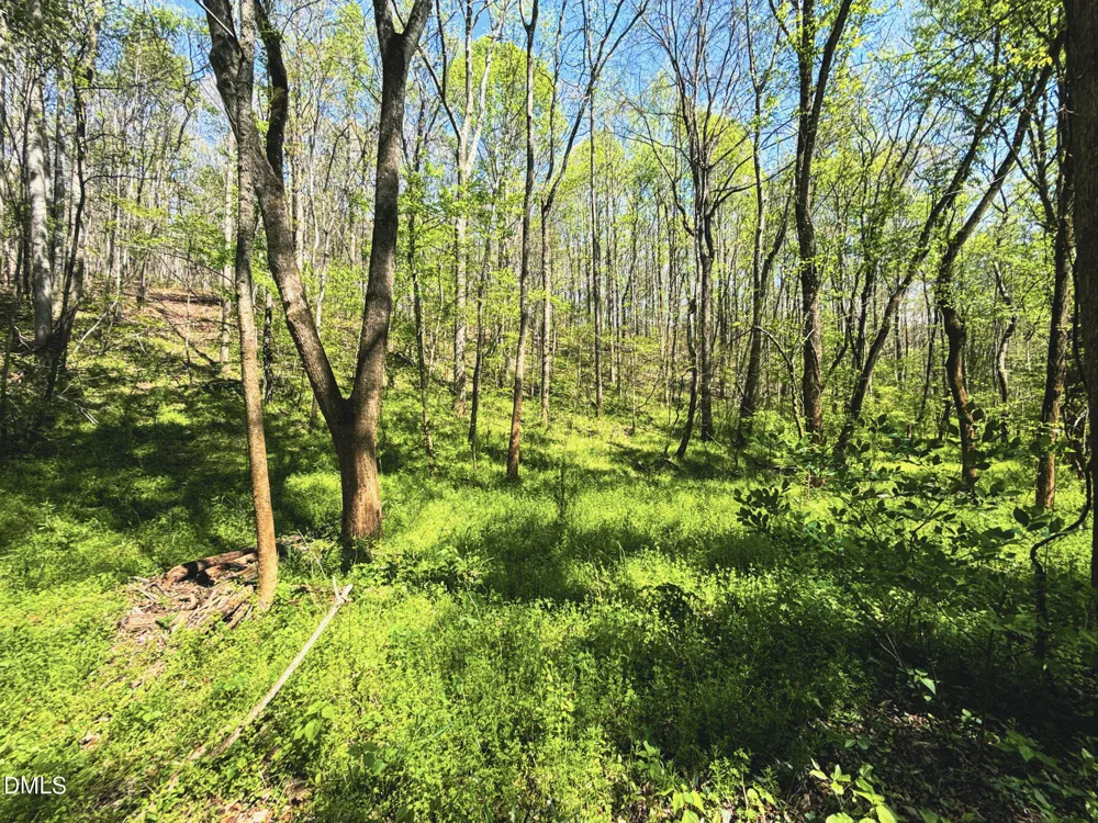 0 Mocksville Highway Statesville, NC 28625