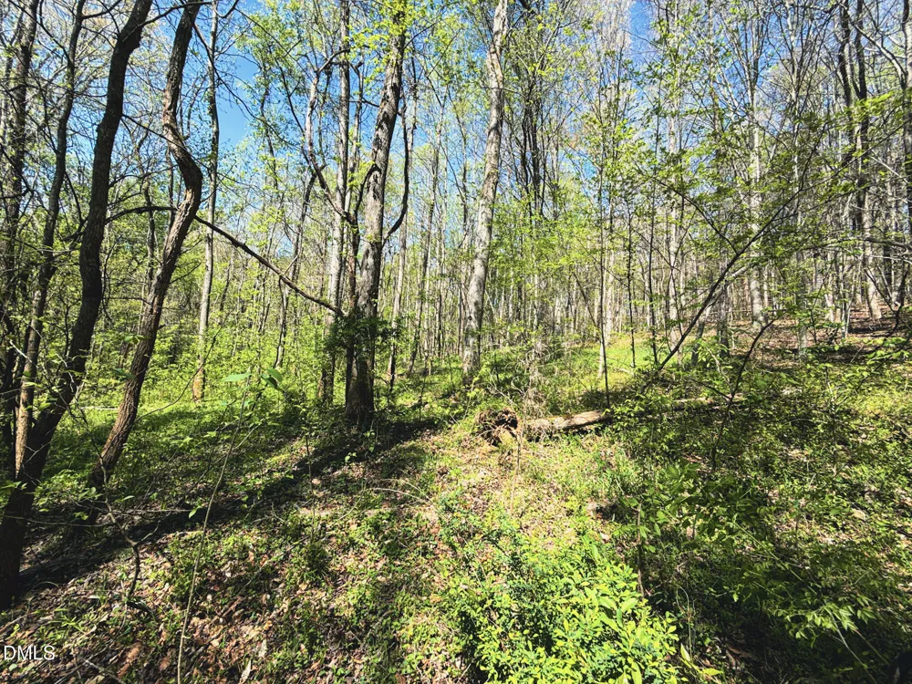 0 Mocksville Highway Statesville, NC 28625