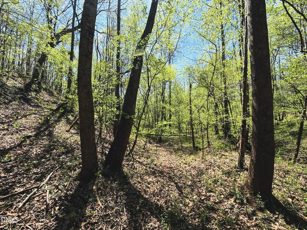 0 Mocksville Highway Statesville, NC 28625