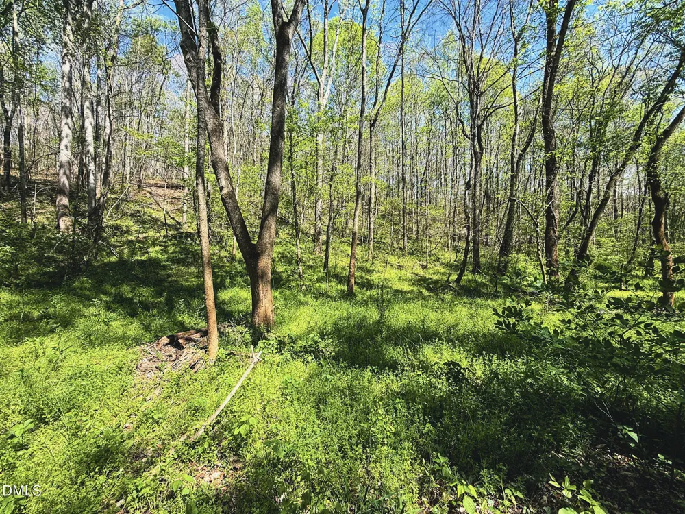 0 Mocksville Highway Statesville, NC 28625