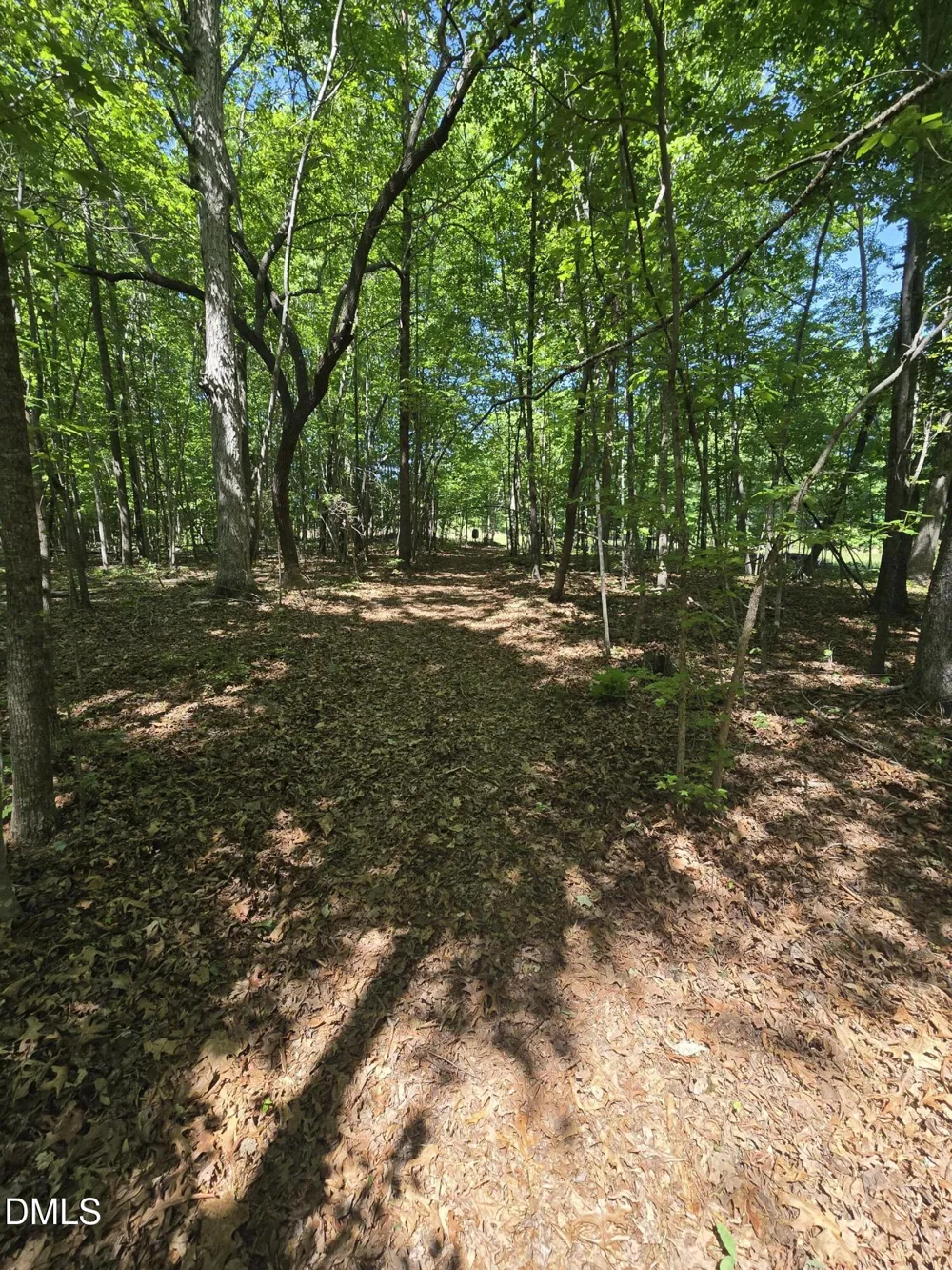 5022 Mount Hermon Rock Crk Road Snow Camp, NC 27349